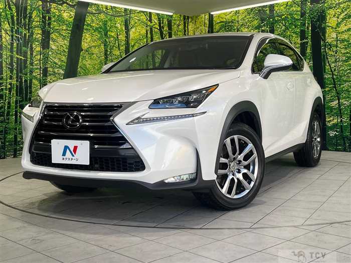 2015 Lexus NX