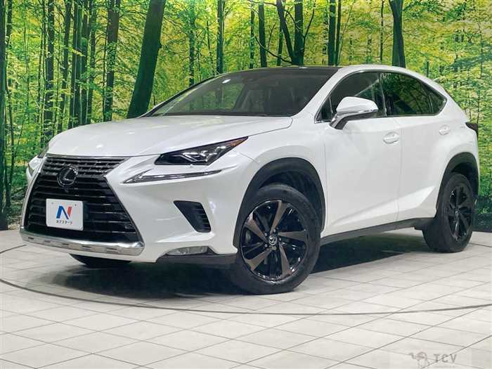 2018 Lexus NX