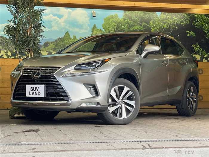 2018 Lexus NX