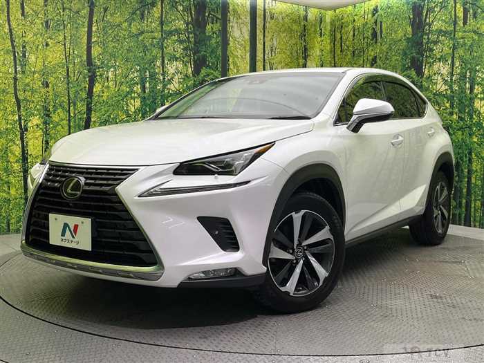 2018 Lexus NX