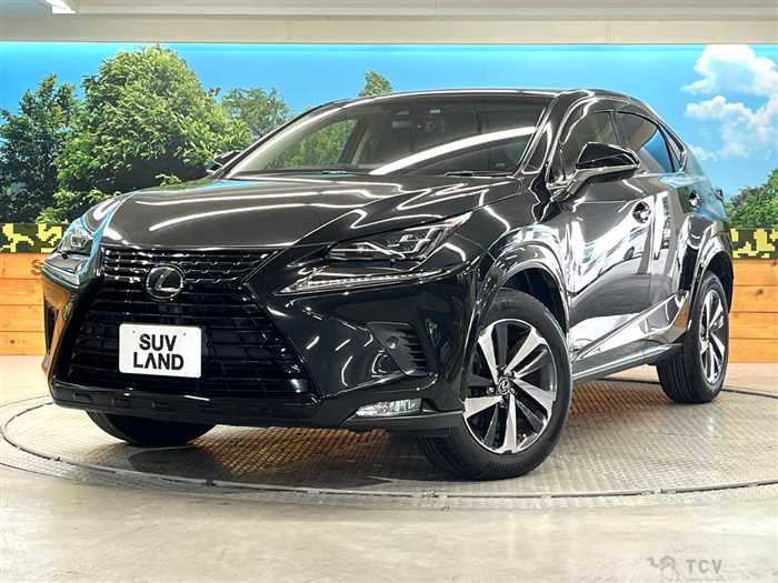 2018 Lexus NX