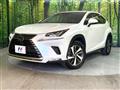 2019 Lexus NX