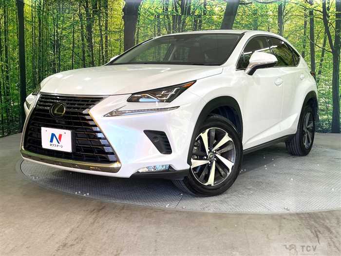 2019 Lexus NX