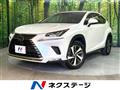 2019 Lexus NX