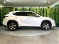 2019 Lexus NX