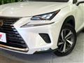 2019 Lexus NX