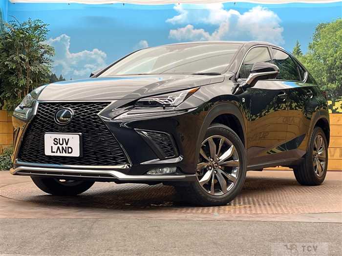 2020 Lexus NX