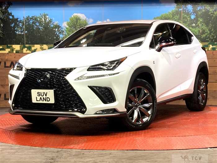 2020 Lexus NX
