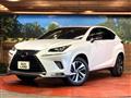 2020 Lexus NX