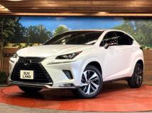 2020 Lexus NX