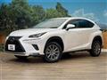 2019 Lexus NX