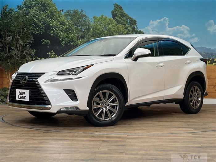 2019 Lexus NX