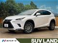 2019 Lexus NX