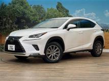 2019 Lexus NX