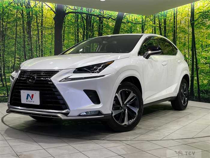 2020 Lexus NX