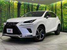 2020 Lexus NX