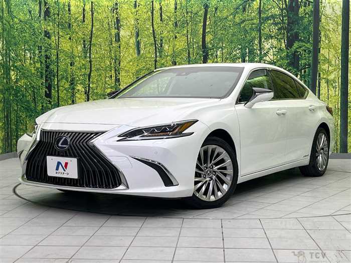 2019 Lexus ES
