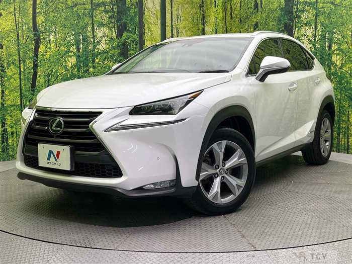 2016 Lexus NX