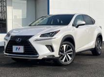 2018 Lexus NX