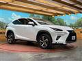 2019 Lexus NX