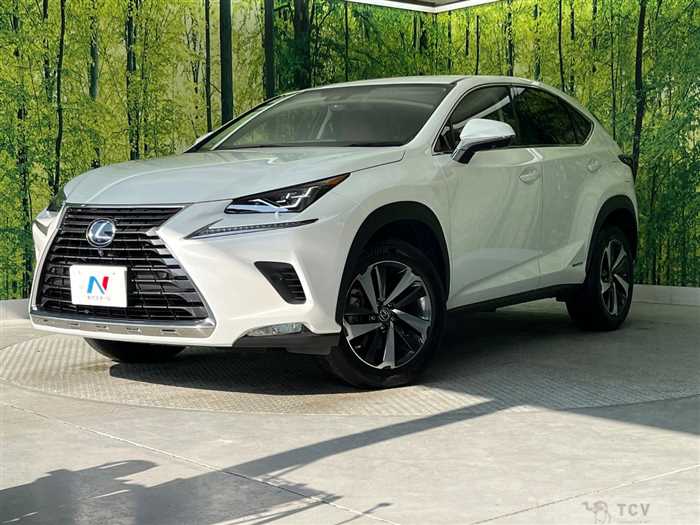 2019 Lexus NX