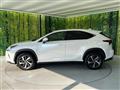 2019 Lexus NX