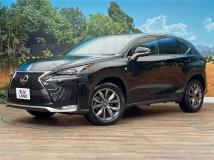 2014 Lexus NX