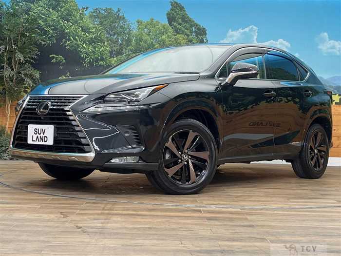 2019 Lexus NX