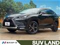 2019 Lexus NX