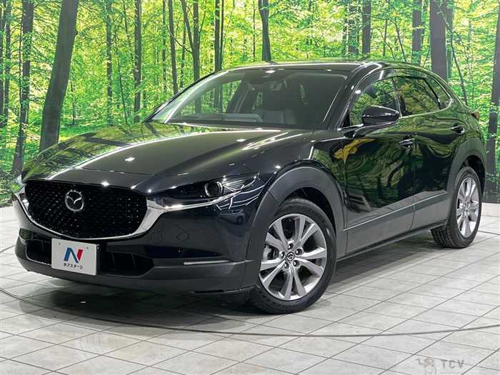 2019 Mazda Mazda Others