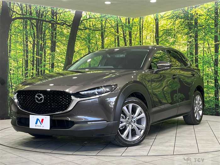 2020 Mazda Mazda Others