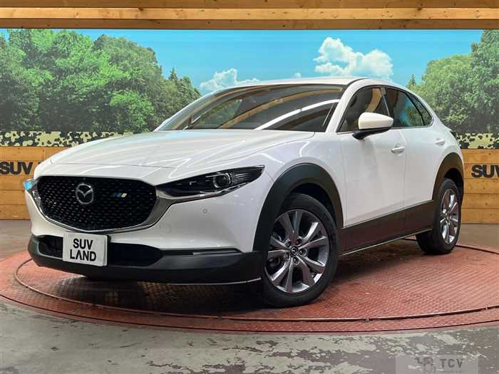 2019 Mazda Mazda Others
