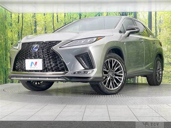 2019 Lexus RX