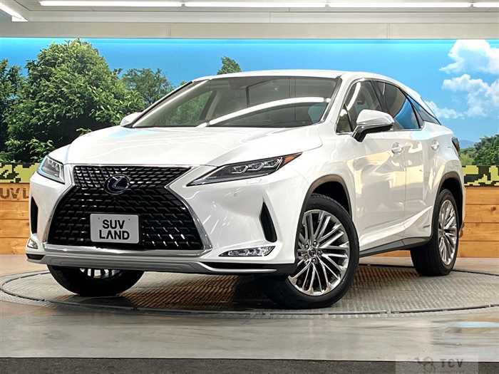 2020 Lexus RX