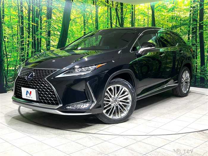 2020 Lexus RX