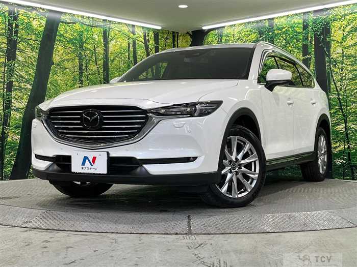 2017 Mazda CX-8
