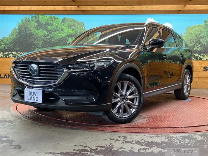 2018 Mazda CX-8