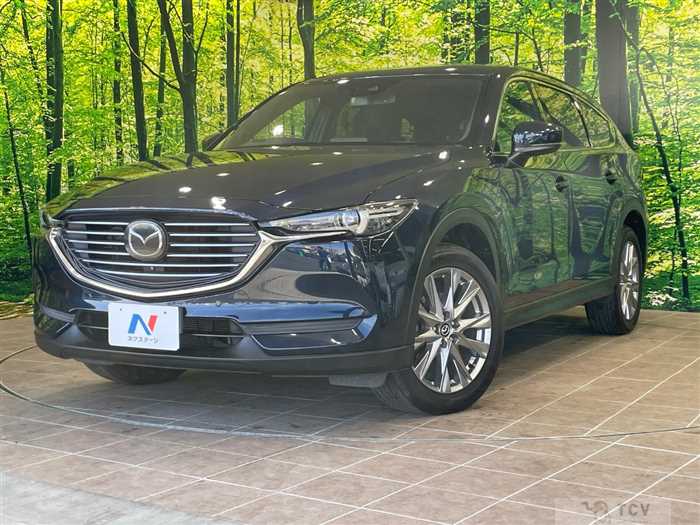 2019 Mazda CX-8
