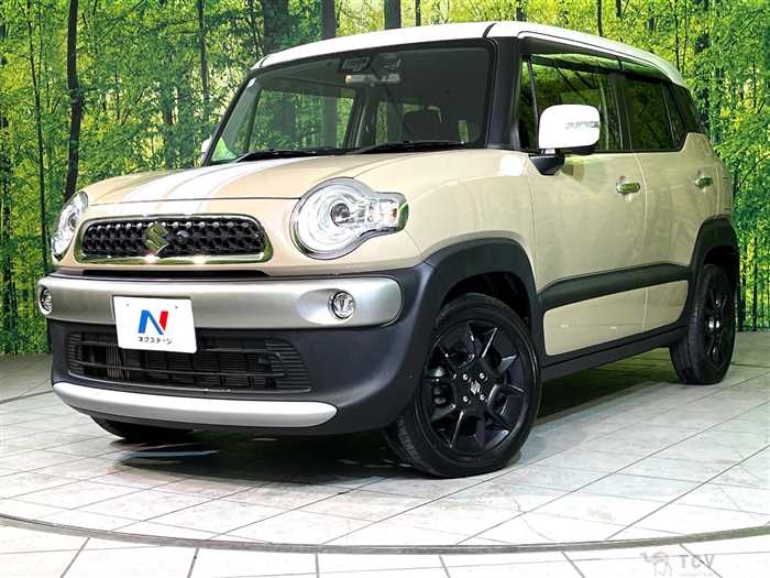 2019 Suzuki Suzuki Others