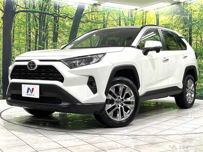2019 Toyota RAV4