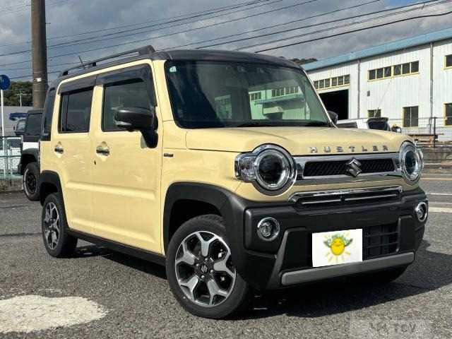 2024 Other All Other All