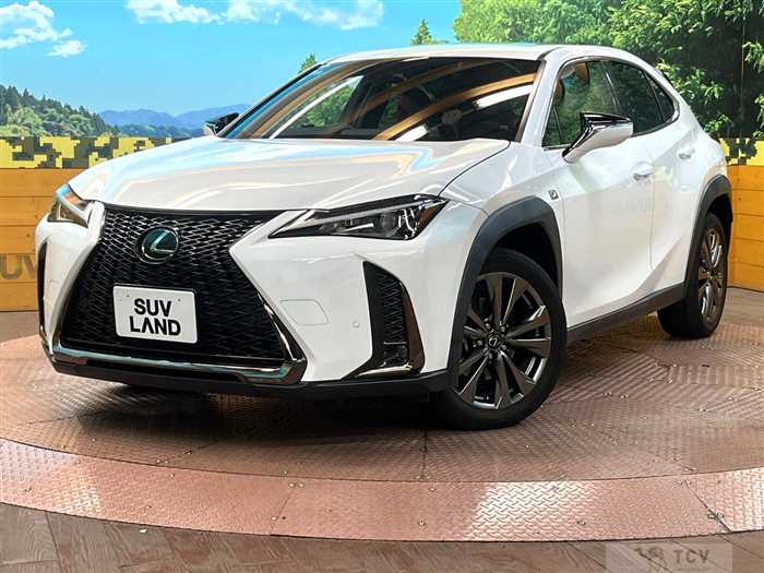 2019 Lexus Other