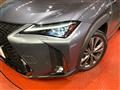 2019 Lexus Other