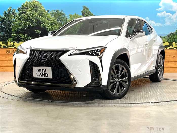 2020 Lexus Other