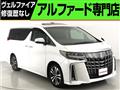 2020 Toyota Alphard G