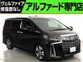2020 Toyota Alphard G