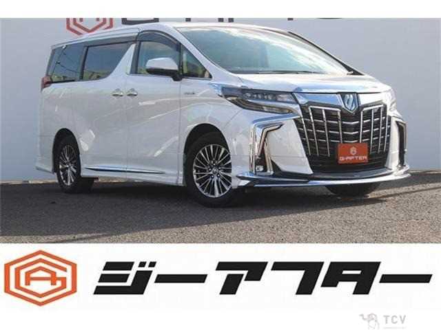 2020 Toyota Alphard G