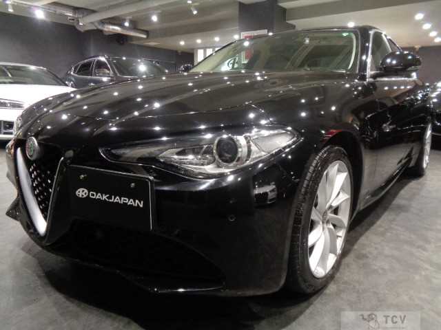 2019 Alfa Romeo Alfa Romeo Others