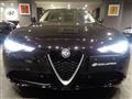 2019 Alfa Romeo Alfa Romeo Others