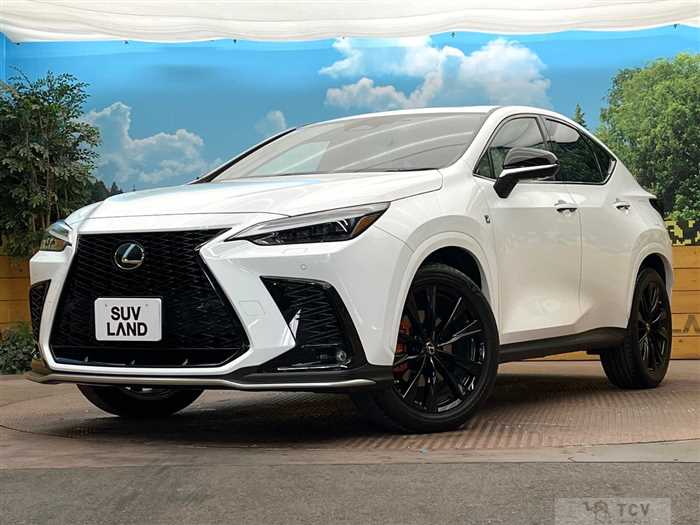 2021 Lexus NX